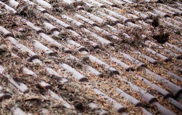 Woolsthorpe By Belvoir roof cleaning companies