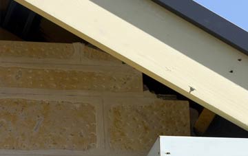 soffit repair Woolsthorpe By Belvoir